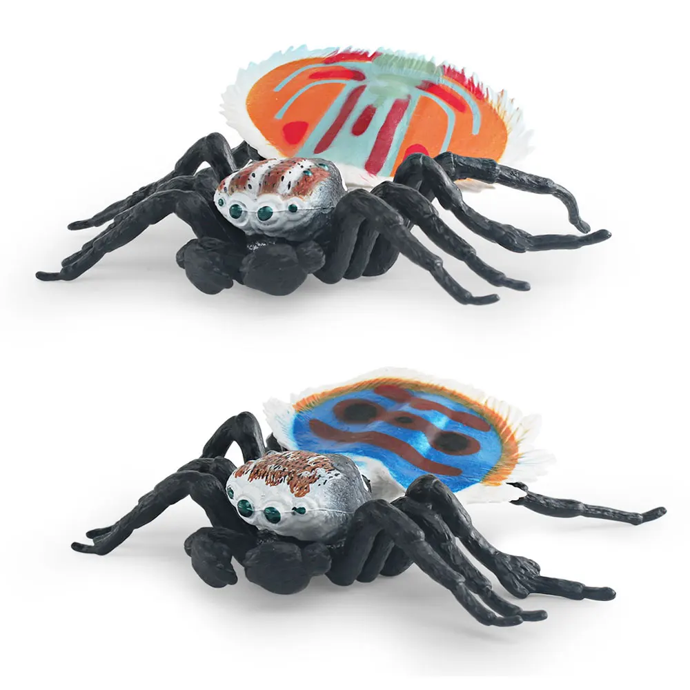 

Peacock Spider Model PVC Decoration Prank Toy Simulated Wild Insect Figurine HG102