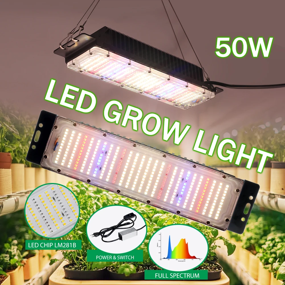 50W LM281B Vollspektrum-Quantum-Board LED-Pflanzenlampe AC110/220V mit Treiberschalter für Gewächshaus-Hydrokulturpflanzen