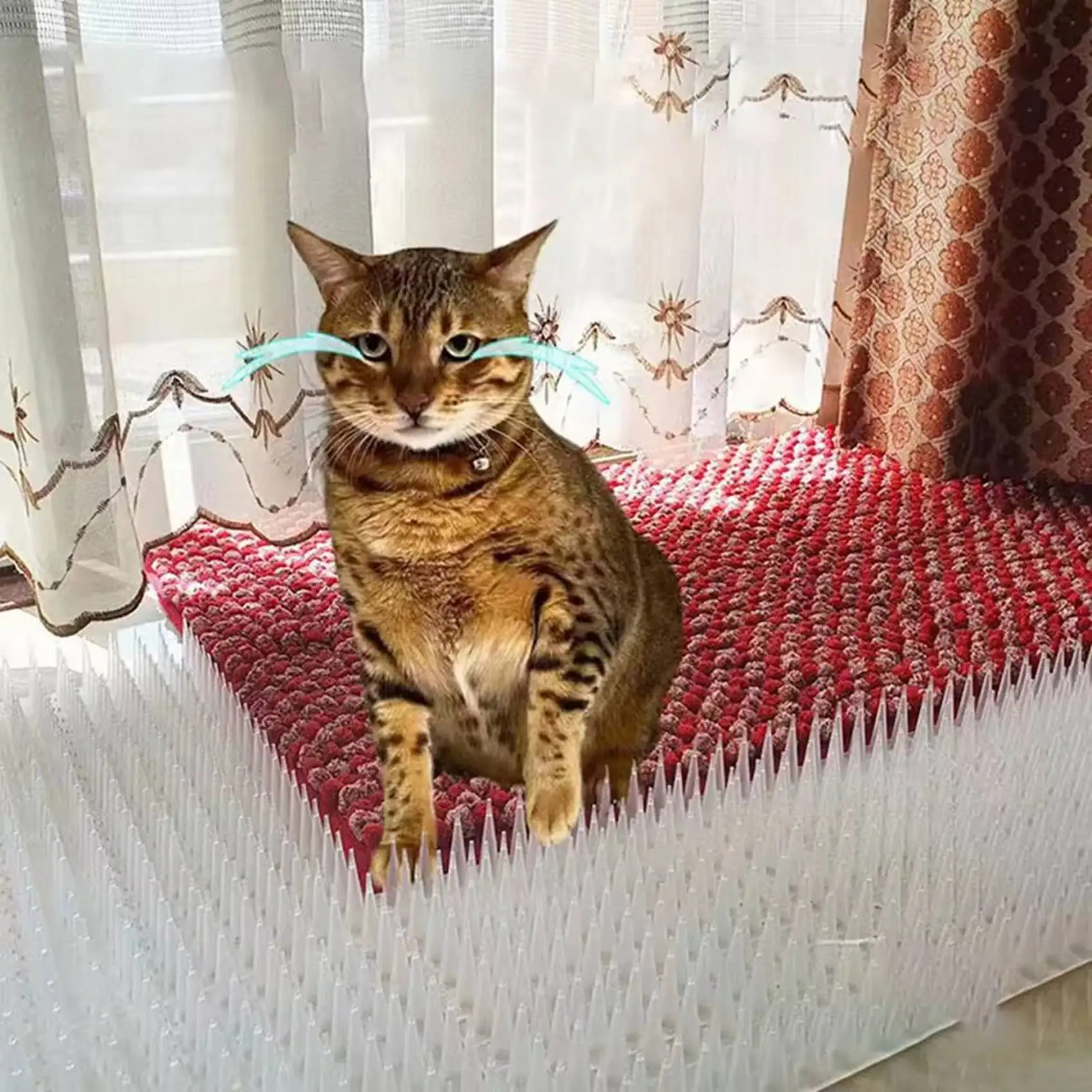 as60-80x-repelente-de-puas-transparentes-de-plastico-para-gatos-pajaros-palomas-y-ardillas-para-control-en-cercas-de-jardin