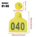 001-060 Yellow