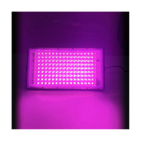 Full Spectrum LED Grow Light PhytoLamp for Plants Tent Flower Seeding 200W Range Lamp Outdoor Floodlight US Plug