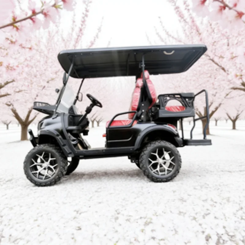 

New Sightseeing Hunting Club Cart 4KW/5KW Golf Cart 60V/72V Electric Golf Cart PP Injection Molding Lining Structure Materials