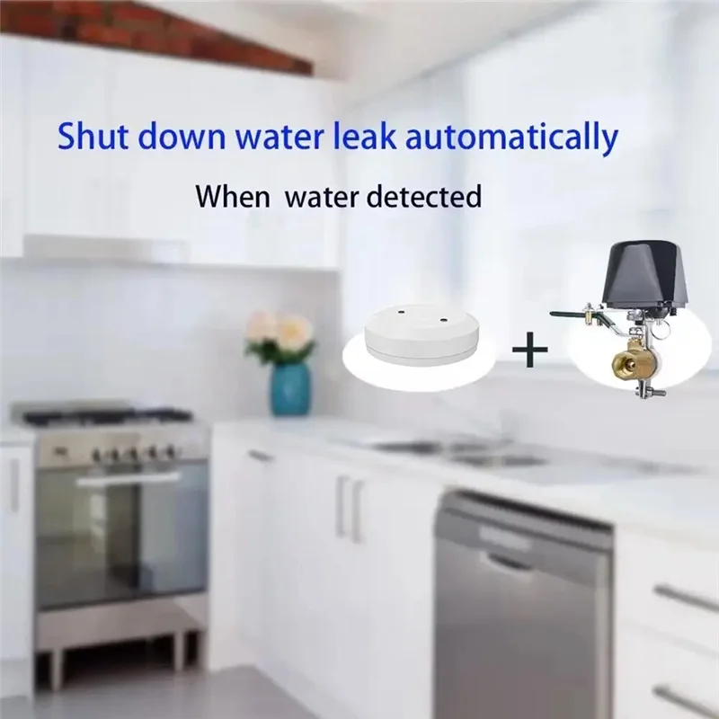 

ABSE-Tuya Wi-Fi умный контроллер клапана манипулятора для воды, газа, автоматическое отключение, выключение, поддержка Alexa Home Smartlife
