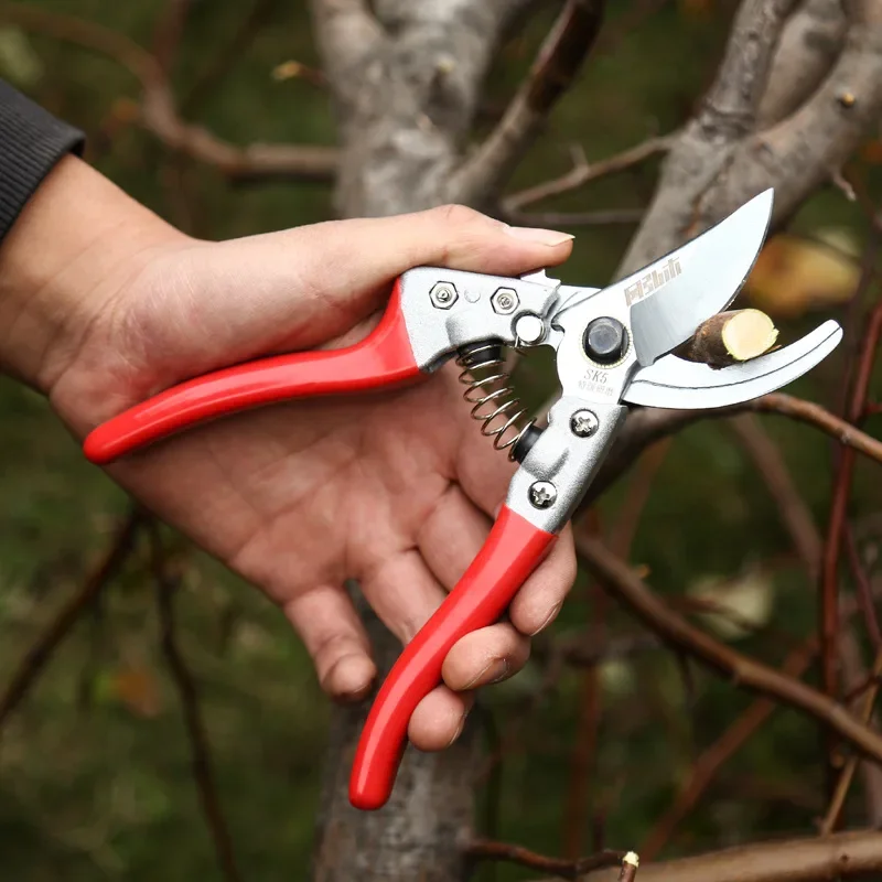 Imagem -04 - Fruit Tree Shears Poda Sk5