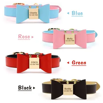 8 best sales 소형견용 목줄 - №8