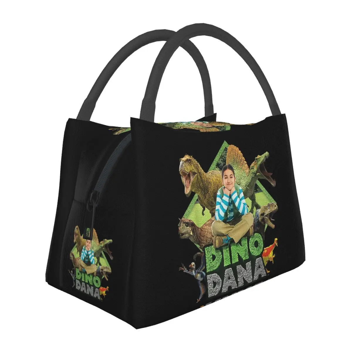 Dino Dana Real Lightweight Handheld Insulated Lunch Bag Aluminum Foil Liner for Adults Students Travel Picnic