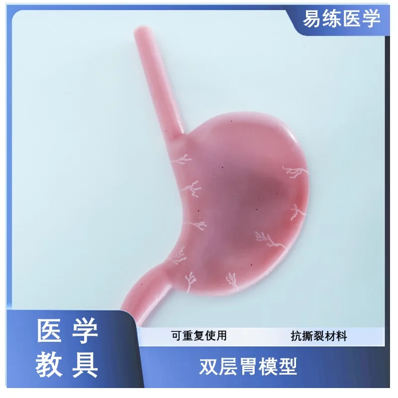 Teaching model of folded hydrogel silica gel for single-layer double-layer hollow gastrointestinal anastomosis