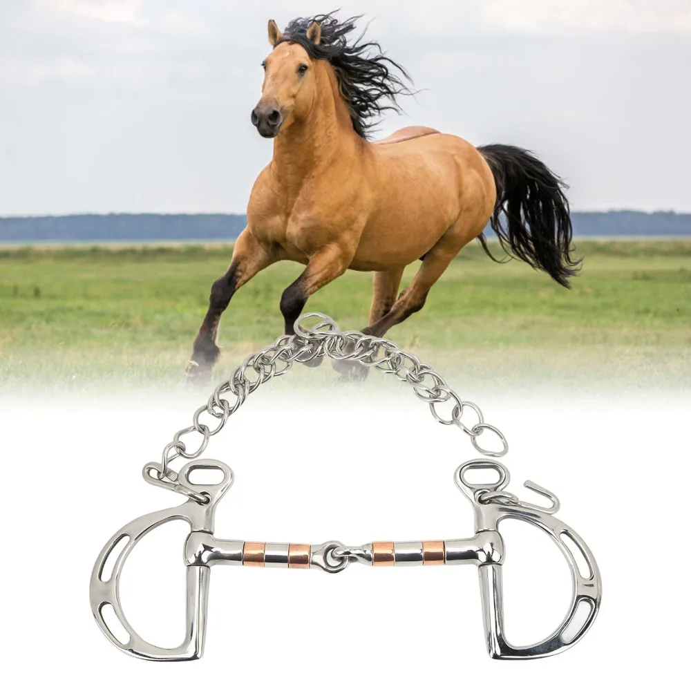 Stainless Steel D Ring Snaffle Bit Durable Copper Stainless Steel Horse Bit Chain Attachment Fine Workmanship Horse Mouth Bit