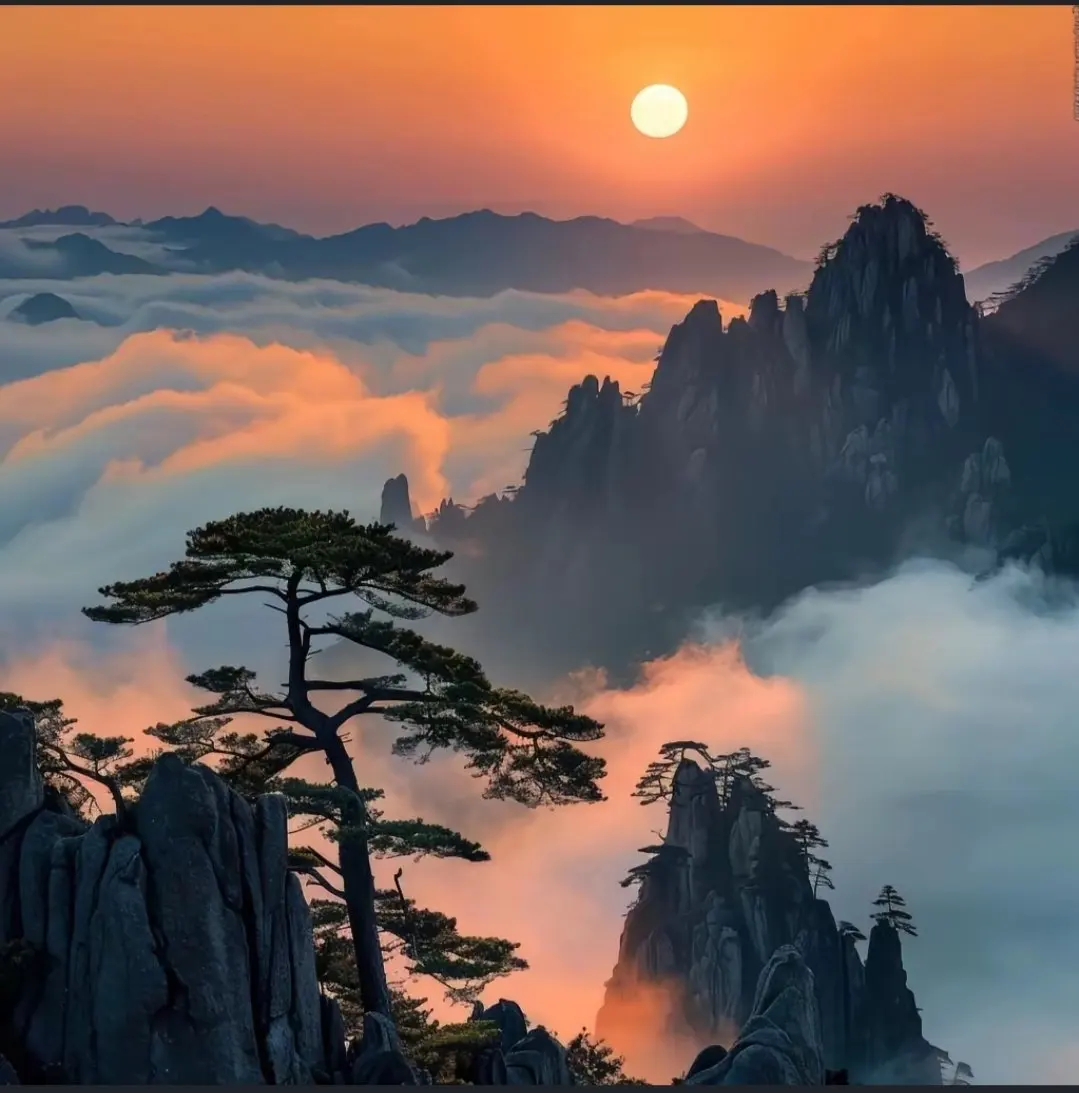 

Car Wheel Caps Valve Stem Cap Tire Covers Aluminum Air Valve Tire for BMW Automobiles Motorcycles Bicycle Auto Accessories Tool