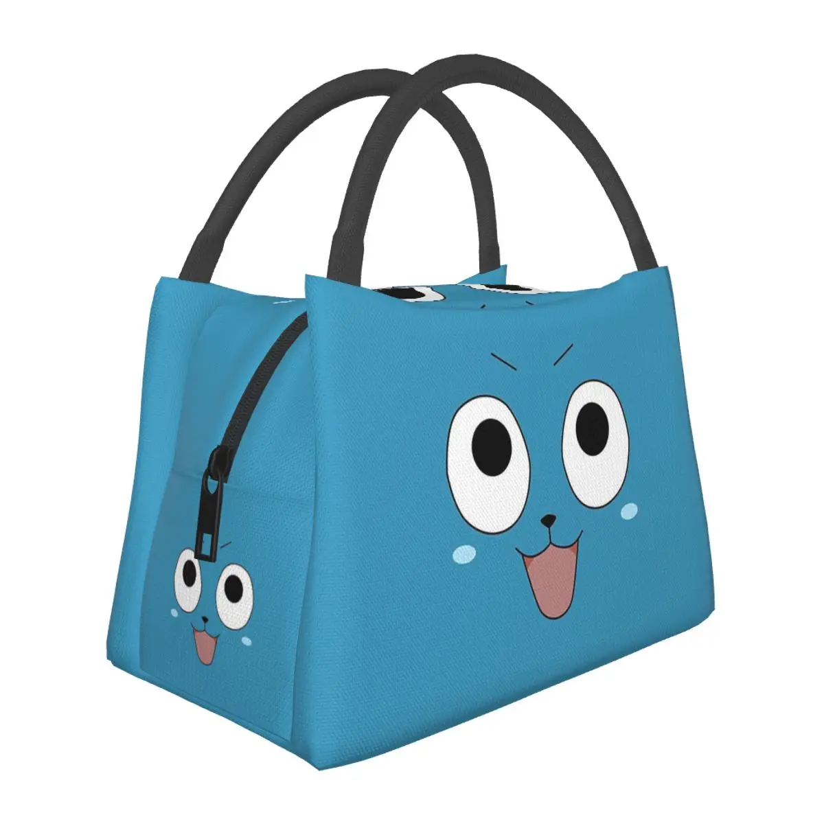 Happy Cat Fairy Tail Lunch Bags Insulated Bento Box Resuable Lunch Tote Picnic Bags Cooler Thermal Bag for Woman Kids Work