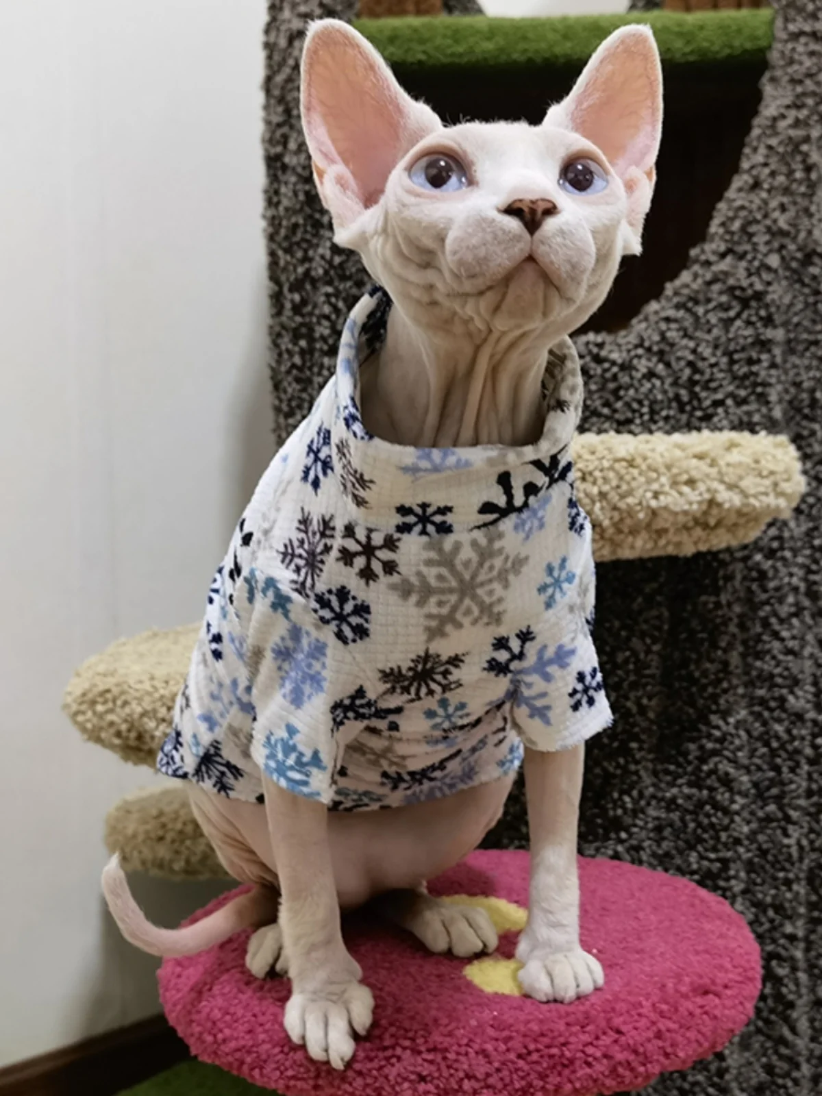 New Christmas Snowflake Clothes for Sphynx Cat Warm Sweater for Hairless Cat Winter Coat Fleece Jacket for Devon Rex Pet Product