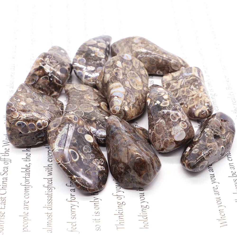 

Natural Turitella Agate Quartz Crystals and Healing Stones Tumbled Bulk Mineral Specime Gemstones, Home Aquarium Decoration Gift