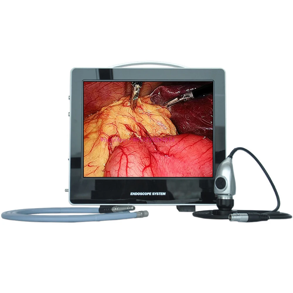 Factory FHD Medical Veterinary Endoscopic Camera System for Pet Clinic