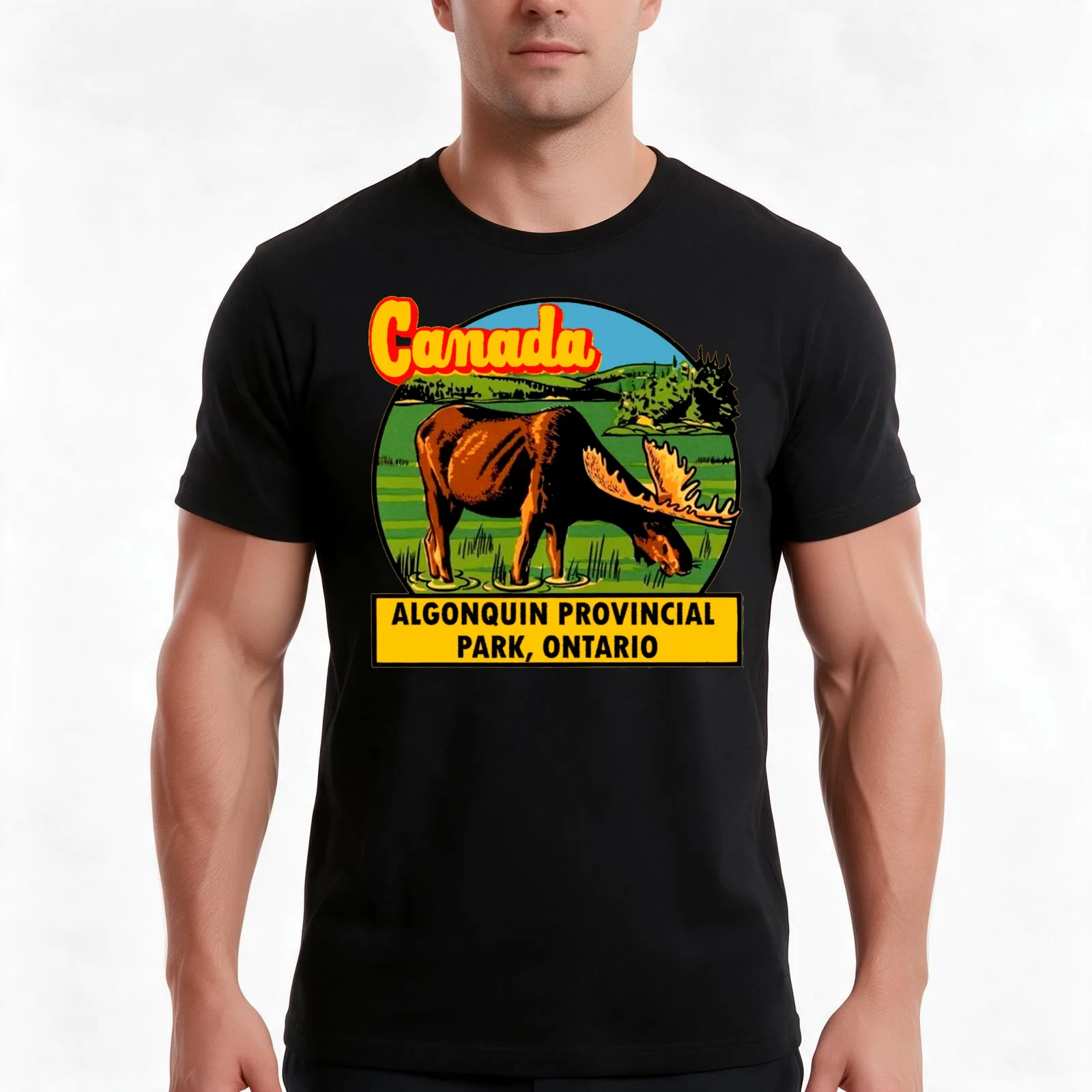 Algonquin Provincial Park Ontario Vintage Travel Decal T-Shirt, Summer Casual Cotton Tee, Oversized Streetwear Tops, 100% Cotton