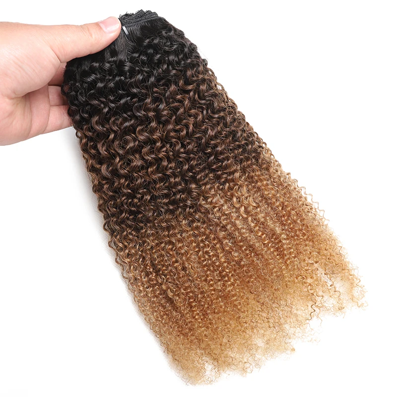 Highlight Afro Curly Clip in Hair Extensions Human Hair Ombre 8pcs One Set Clip-In Hair Extensions Weft Hair Extension Weaves