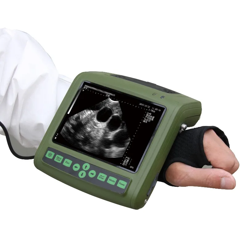 Portable veterinary handheld ultrasound scanning equipment for diagnostics, suitable for pigs and cattle
