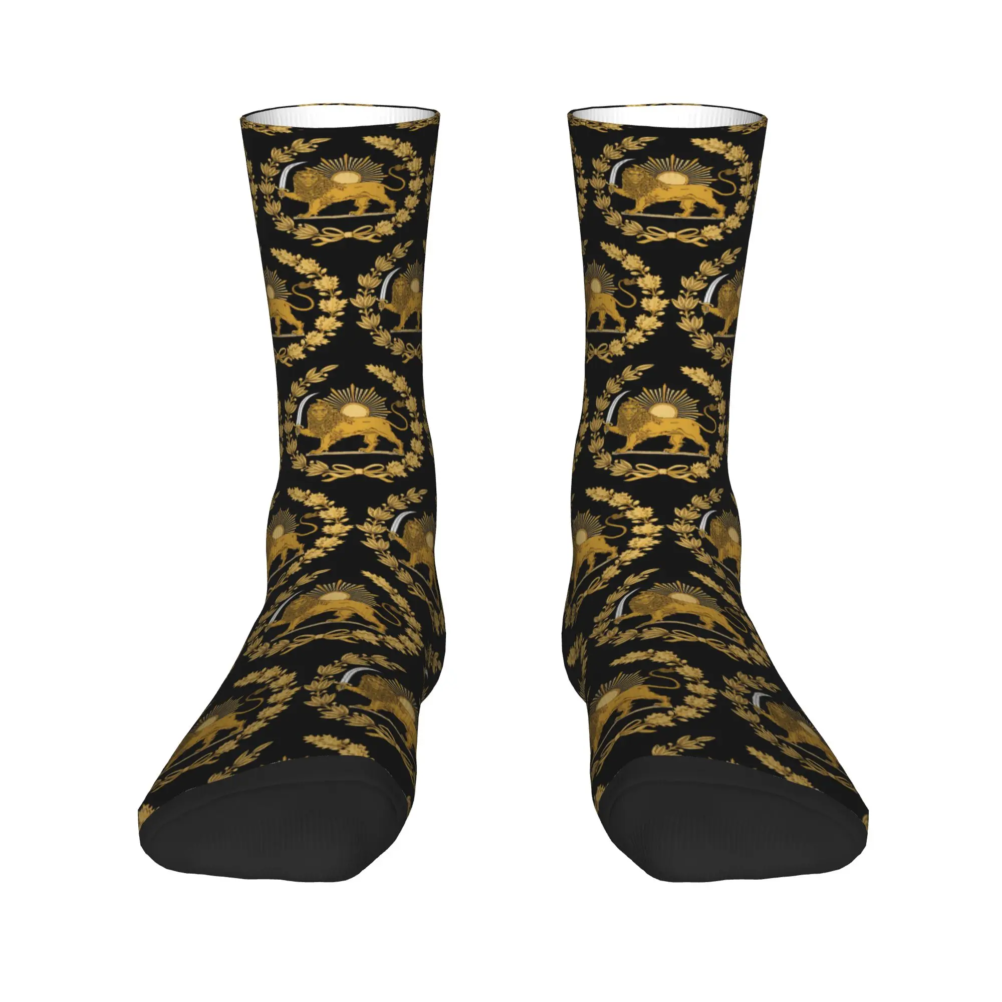 Lion and Sun Emblem of Persia Iran Socks  Graphic Stockings Anti Skid Men's Socks Breathable Autumn Harajuku Outdoor Socks