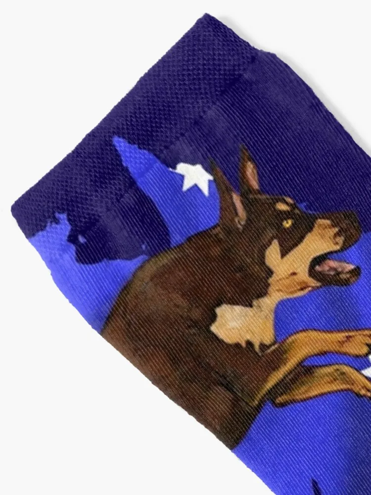 Australian Kelpie Socks Sports Stockings Man