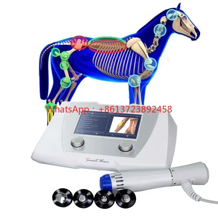 

Human Treatment In Veterinary Animal Care Shockwave Therapy ESWT Device