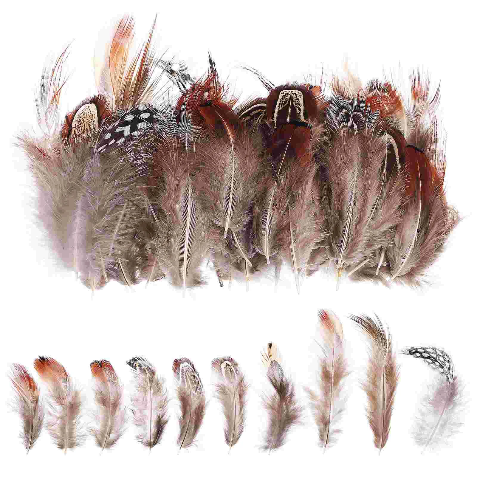 

Mixed Color Plumes For Crafts Bulk Brown Plumage Decorative Vase Floral Arrangement