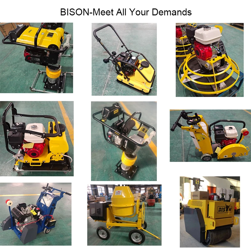 BISON(CHINA) Concrete Vibrator Electric 2.2KW Single Phase Rod Head for Pavement