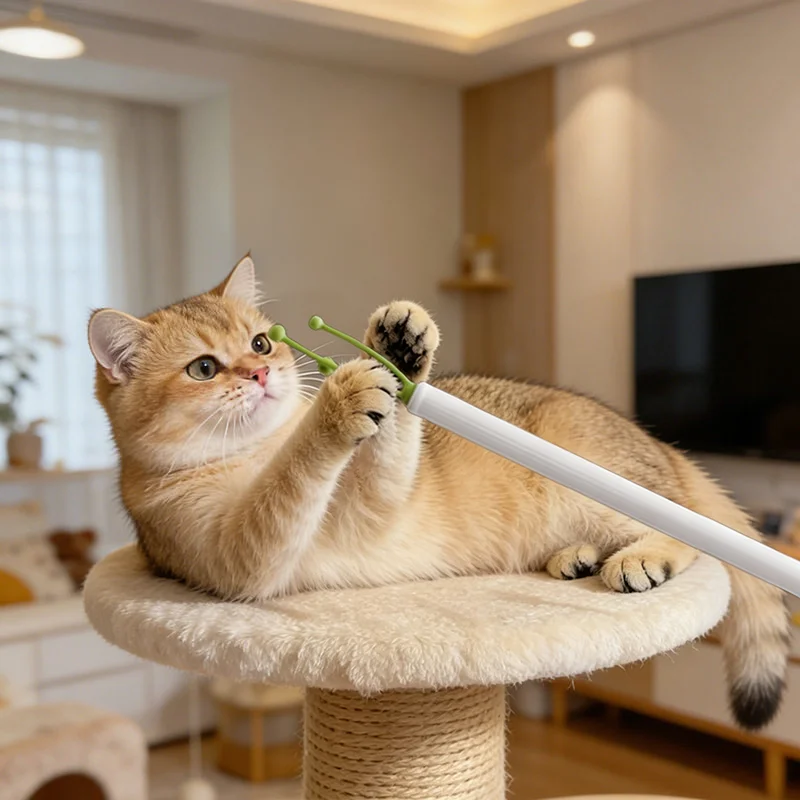 brinquedo-de-madeira-interativo-para-gatinhos-alivia-o-tedio-e-ajuda-na-higiene-bucal-varinha-estimulante-para-brincadeiras-com-o-dono