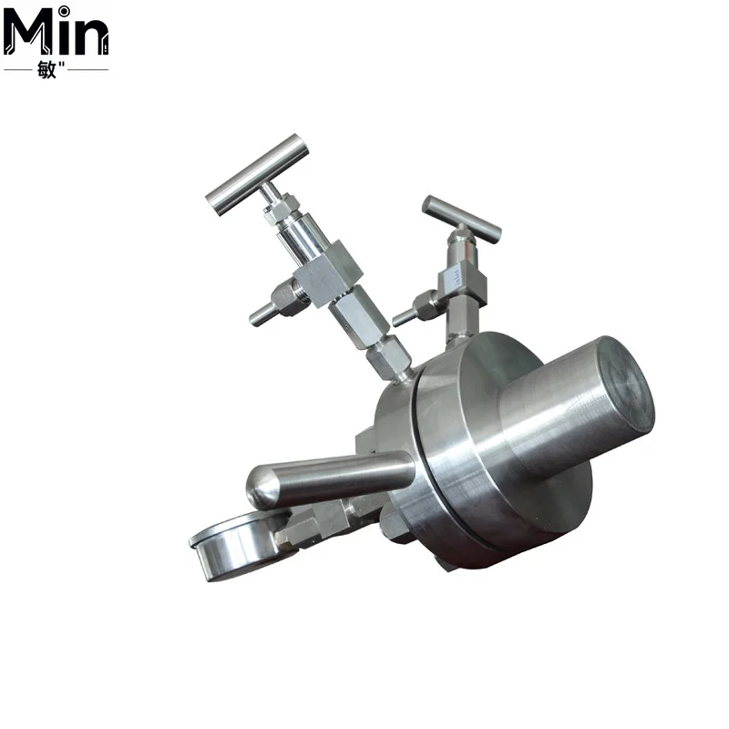 PTFE/PPL Lined Hydrothermal Synthesis Autoclave Reactor SUS304 Stainless Steel High Pressure Digestion Vessel Laboratory =