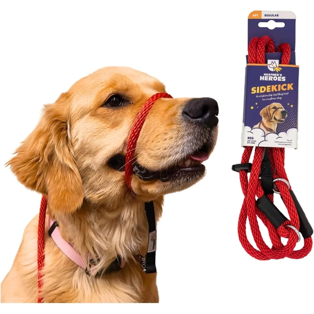 No-Pull Dog Headcollar Leash 2