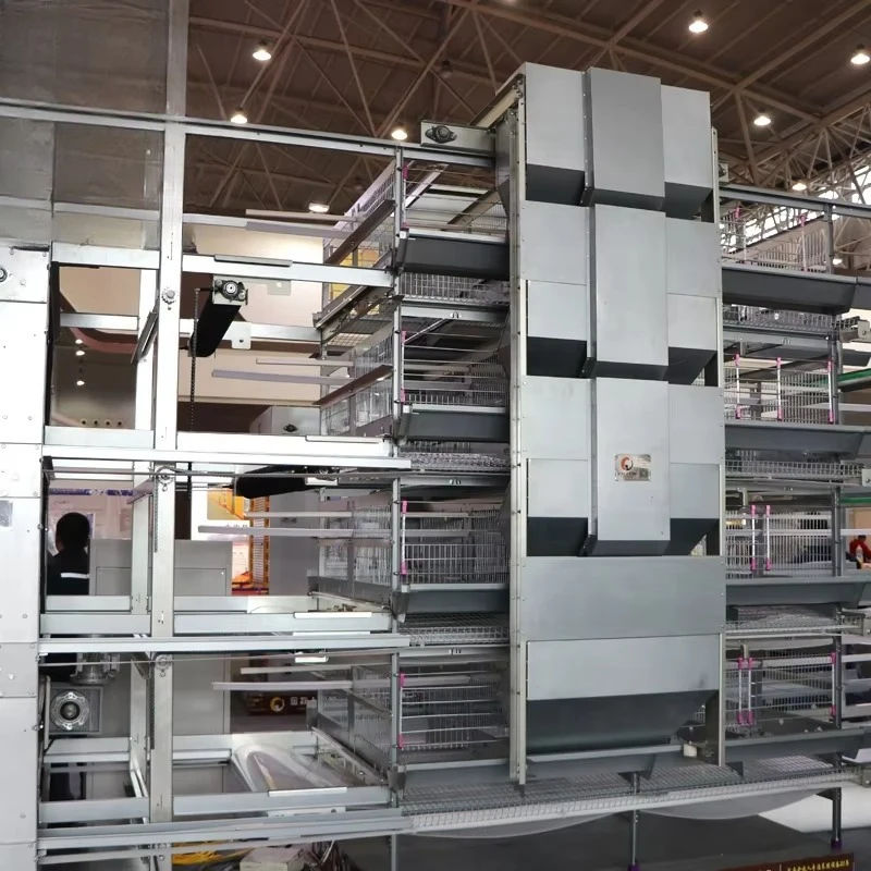Poultry Farming Equipment High Quality Automatic Egg Collecting System