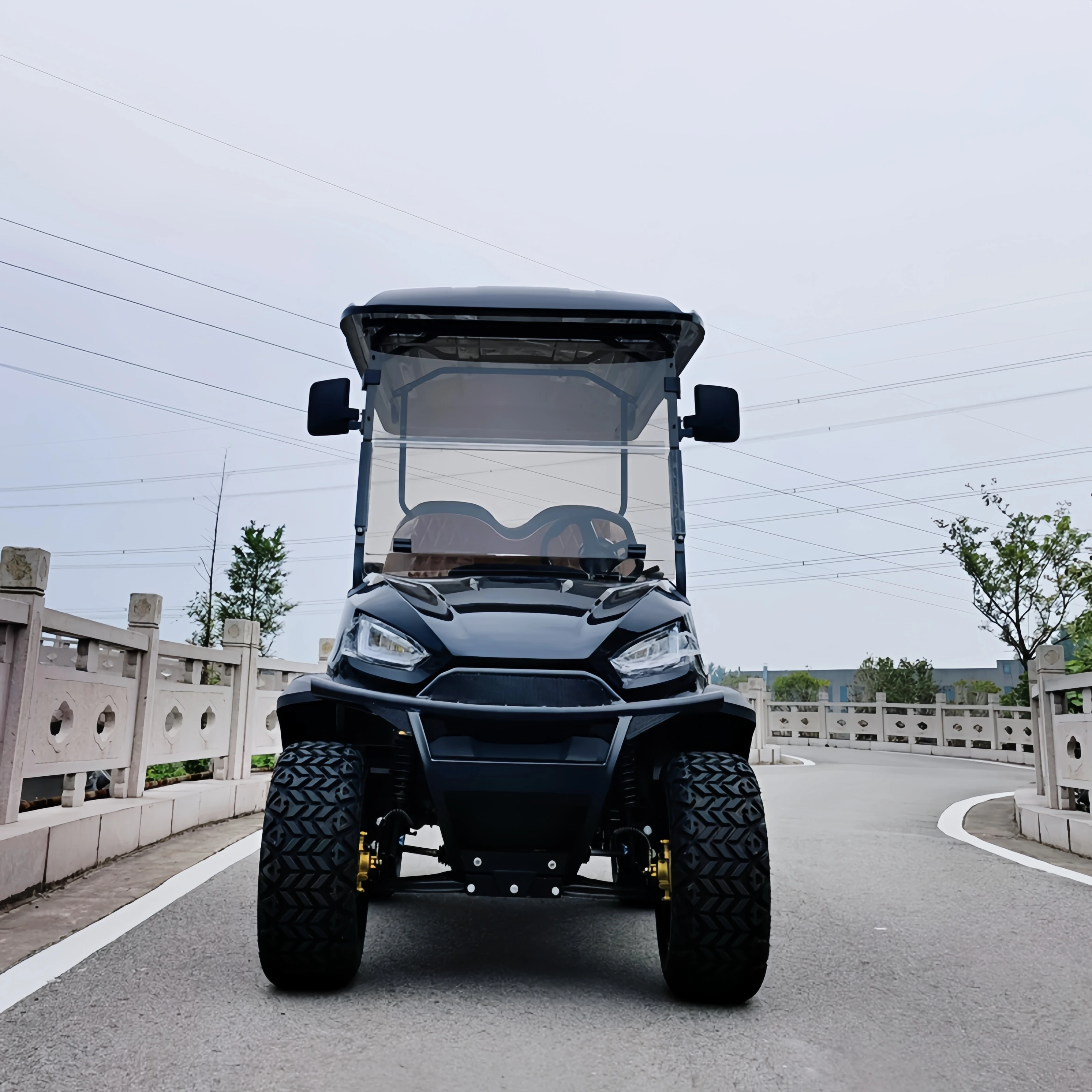 Kingifa-Voiturette de golf électrique, suspension de l'indépendance, livraison rapide, meilleure vente en stock, chinois
