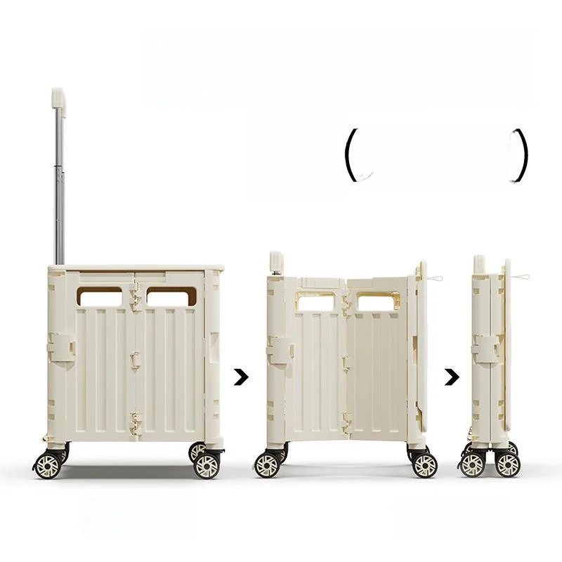 carrello-spesa-portatile-per-anziani-carrello-da-campeggio-per-la-spesa-di-verdure-corpo-in-acciaio-inossidabile-tubo-in-pp-ferro-tappetino