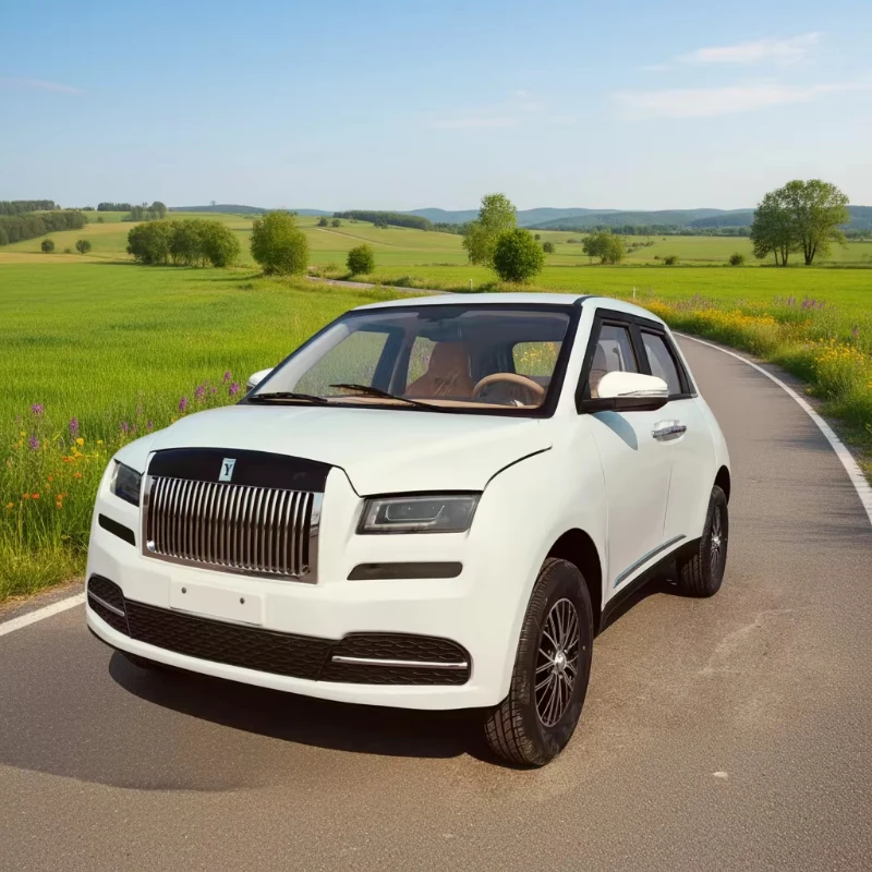 Low-speed four-wheel mini fully enclosed vehicle New energy vehicle Four-wheel electric vehicle