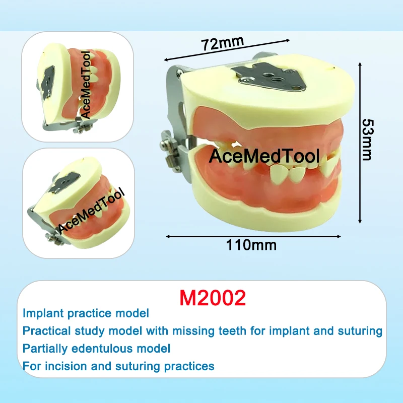 Dental Orthodontic Teeth Model Dentistry Model Training Studying Patient Education Implant Disease Demo Typodont Model 72types