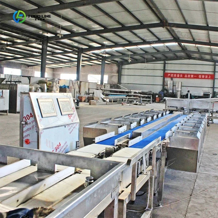 Hot Sale Vegetable Fruit Coconut Cucumber Small Weight Sorter Conveyor Automatic Fish Weighing and Sorting Machine FL Customized