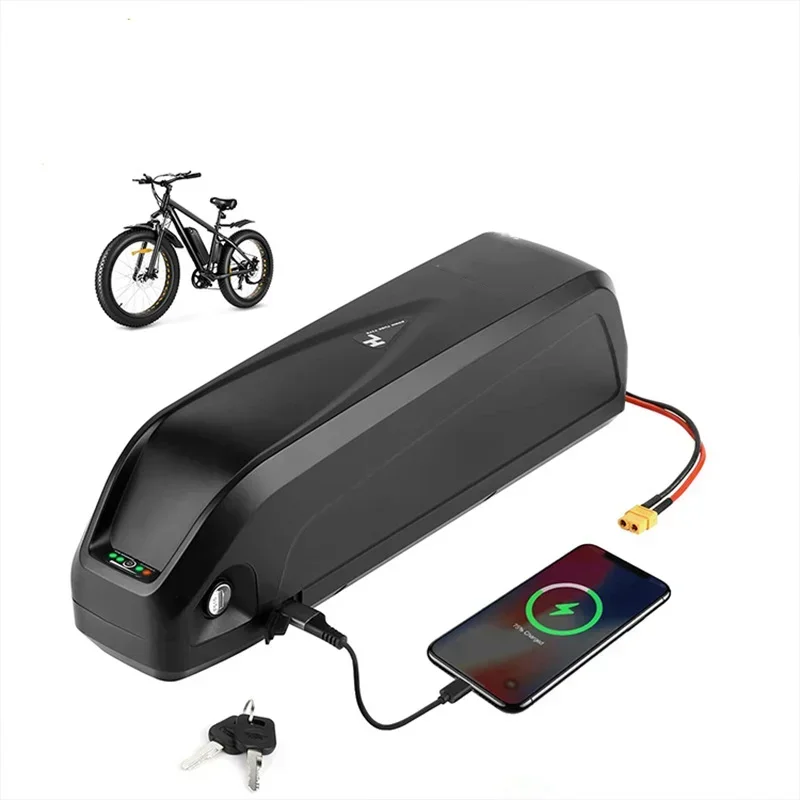 Original 36V Hailong Electric Bicycle Battery Modified Car Power Lithium Battery25A BMS 350W 500W18650 Battery with Gift Charger