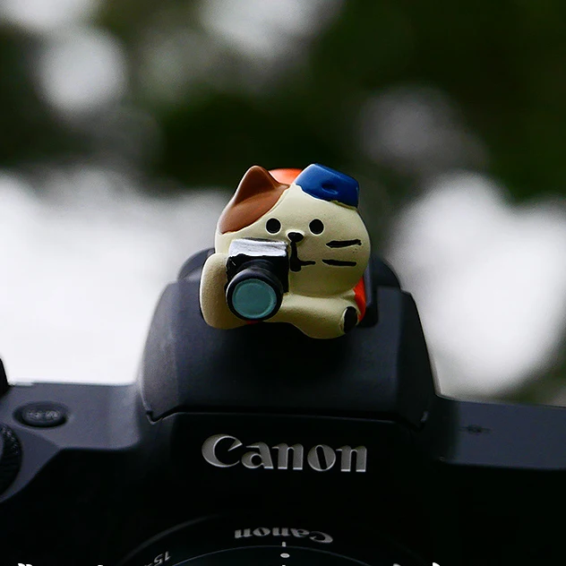 جديد ثلاثية الأبعاد التصوير القط DSLR كاميرا مضيا غطاء الحذاء الساخن لكانون نيكون فوجي سامسونج لايكا سوني أوليمبو LUMIX mirrorless