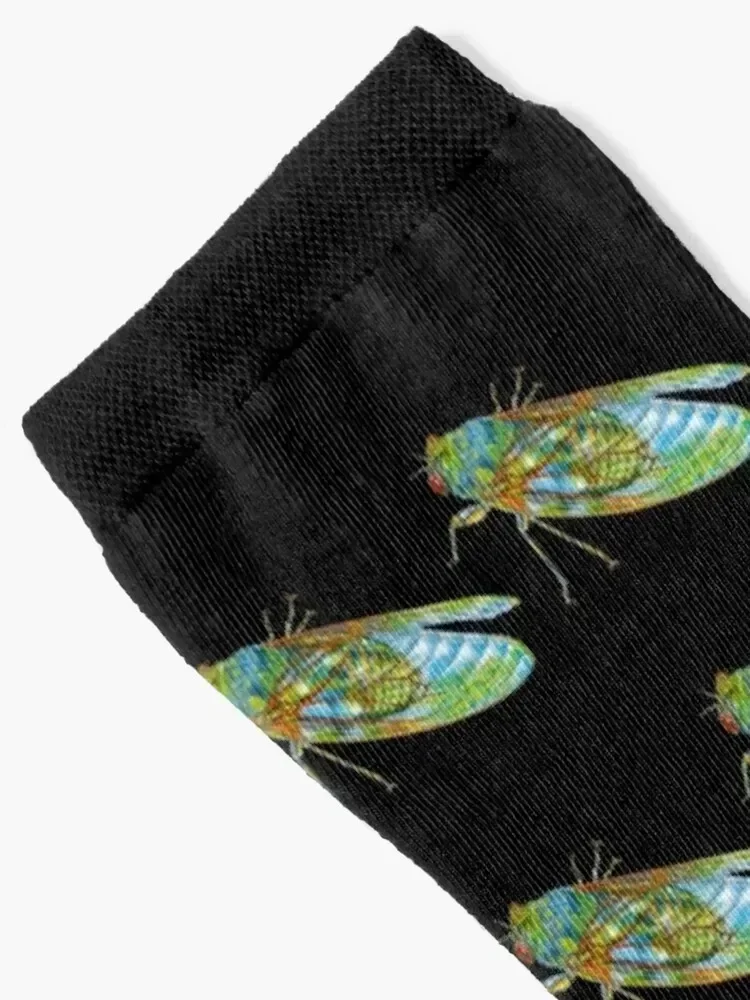 Cicada Socks heated gift hiphop Mens Socks Women's