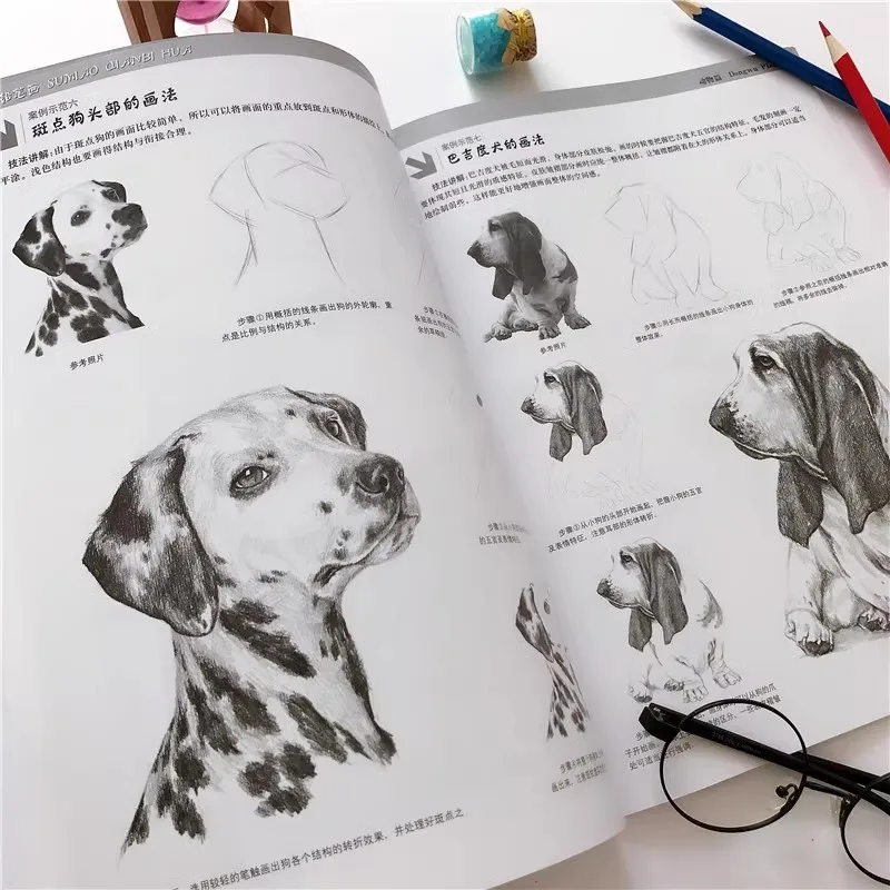 كتب رسم بالقلم الرصاص المرسومة يدويًا للطلاب - المبتدئين إلى دليل الدراسة الذاتية المخصصة في الرسم