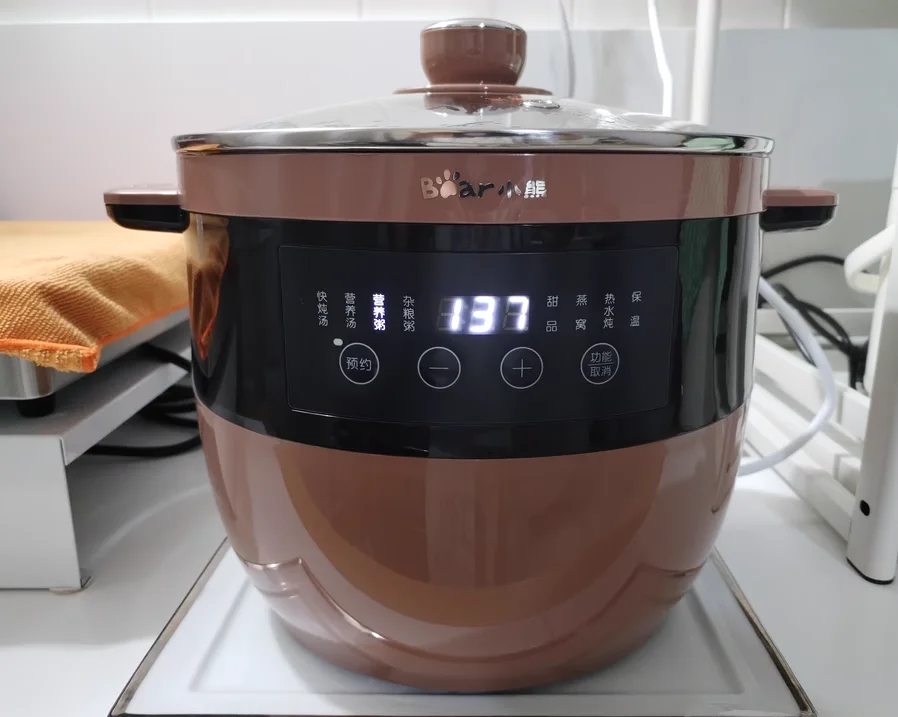 220V Bear Electric Stew Pot Water Bath Soup Maker Automatic Ceramic Large Capacity Porridge Cooker AE