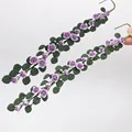VIOLETA/Violeta