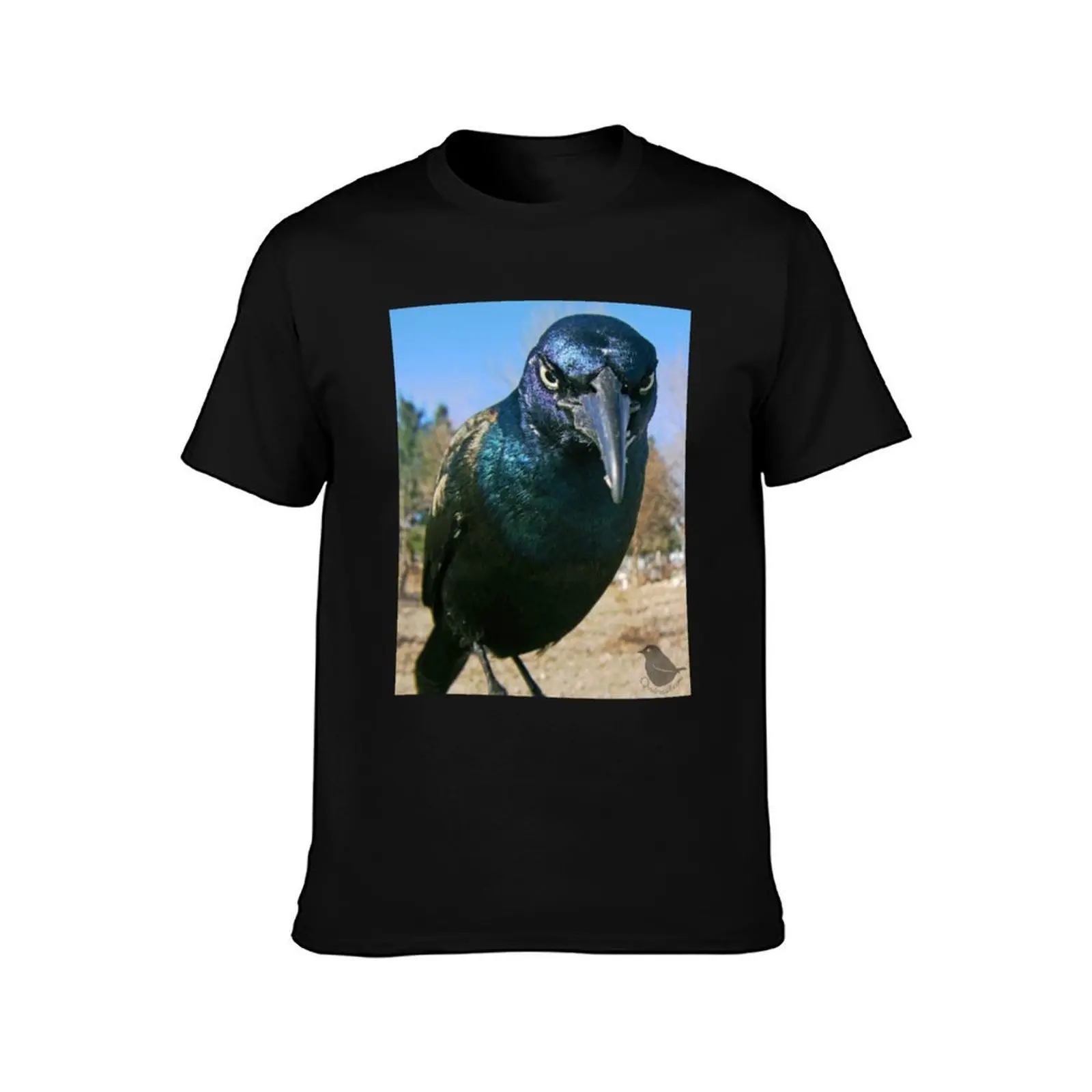 Count Grackula T-Shirt, Summer Casual Cotton Tee, Oversized Streetwear Tops, Vintage Graphic Print, Loose Fit Short Sleeve