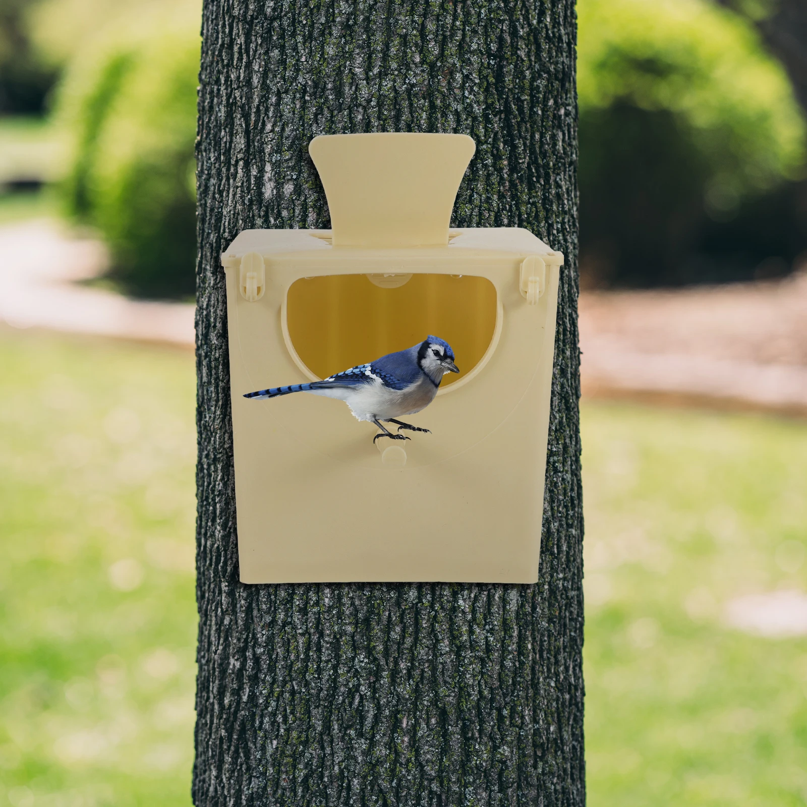 

Plastic Bird Breeding Box Small Parrots Hanging Nesting House Supplies Premium Material Easy Clean Suitable Finches Bluebirds