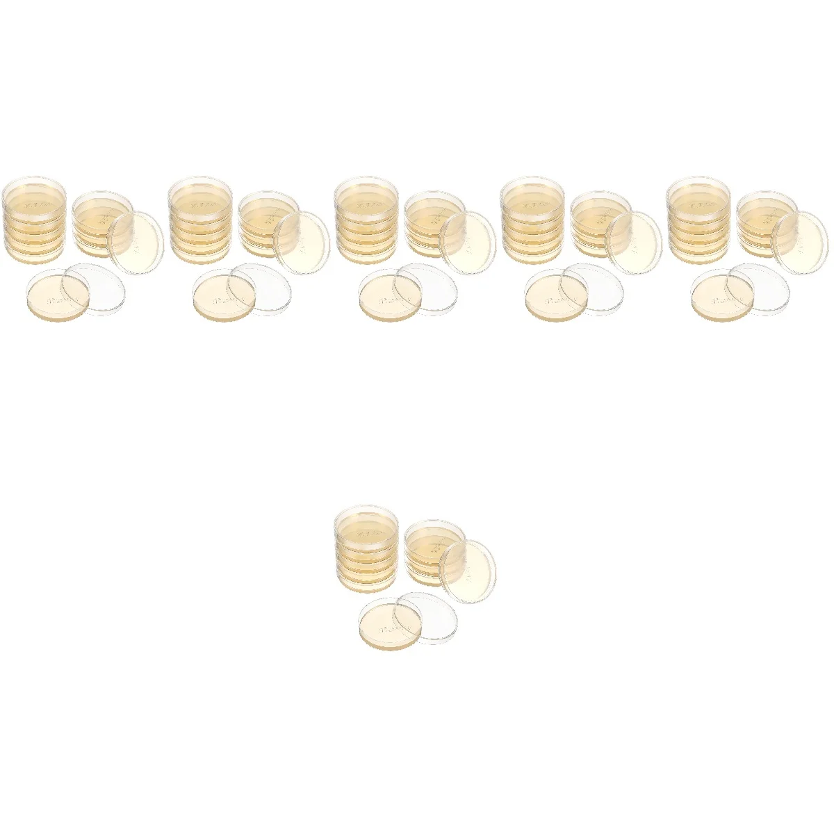 

6pcs 6 PCS Experiment Agar Plates Petei Dish Gel Transparent Petri Dishes Individual