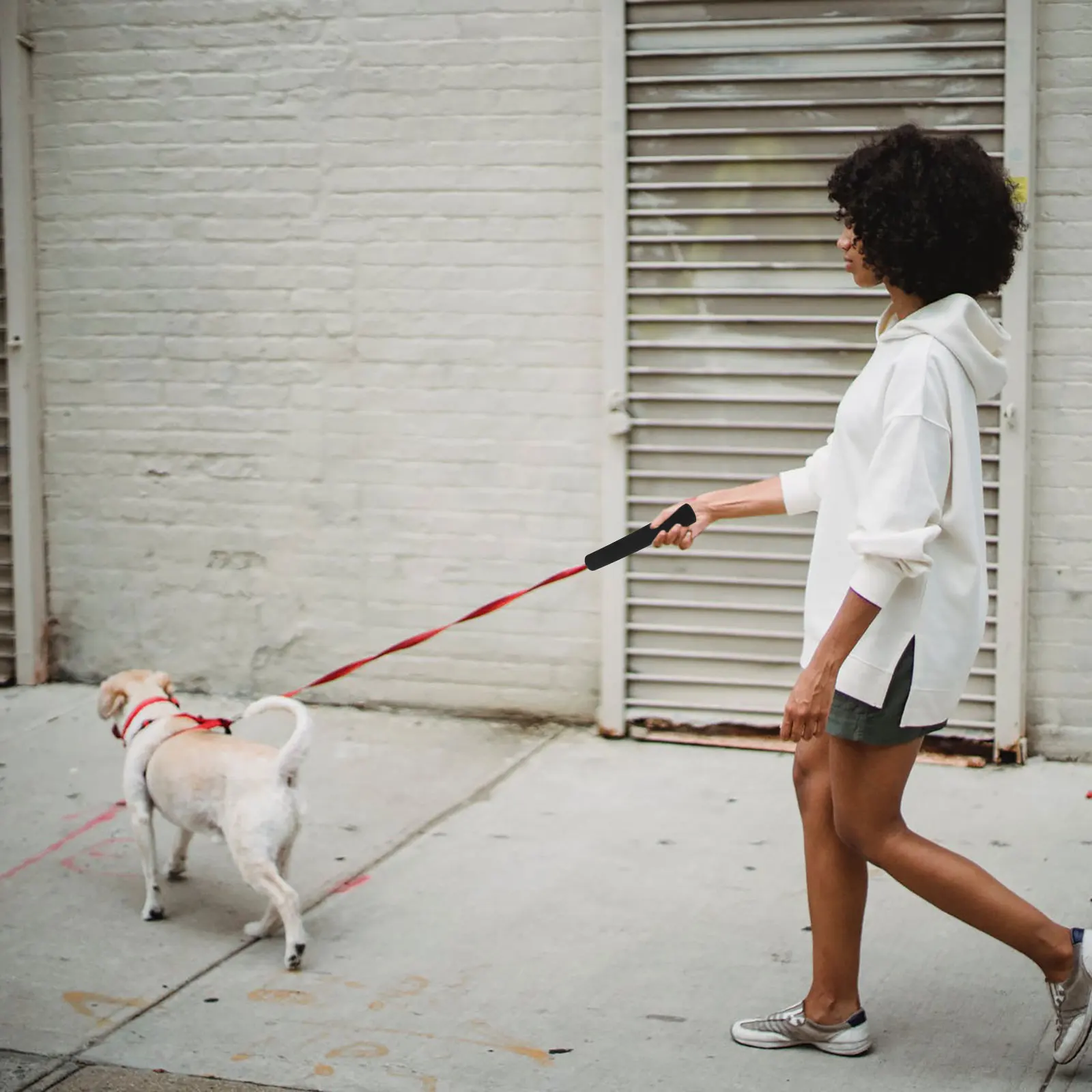 

4Pcs Pet Leash Handle Sleeve Comfortable Grip Non Slip Dog Leash Sponge Wraps Durable Protection Sponge Sleeves