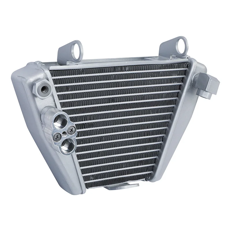 Motorcycle Radiator Oil Cooler Cooling For Ducati Diavel 1260 Lamborghini Sport Pack 2021 Dark 2022 XDiavel 2017 2018 2019 2020