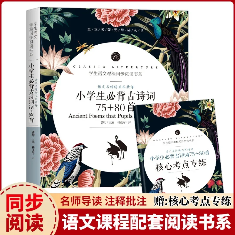 Accessible Reading of Ancient Poetry and Chinese Language Course Reading Series for Primary School Students