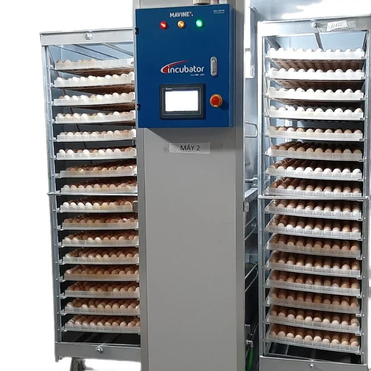 Chicken Egg Incubator with Capacity 12096, Reasonable Price and Quality