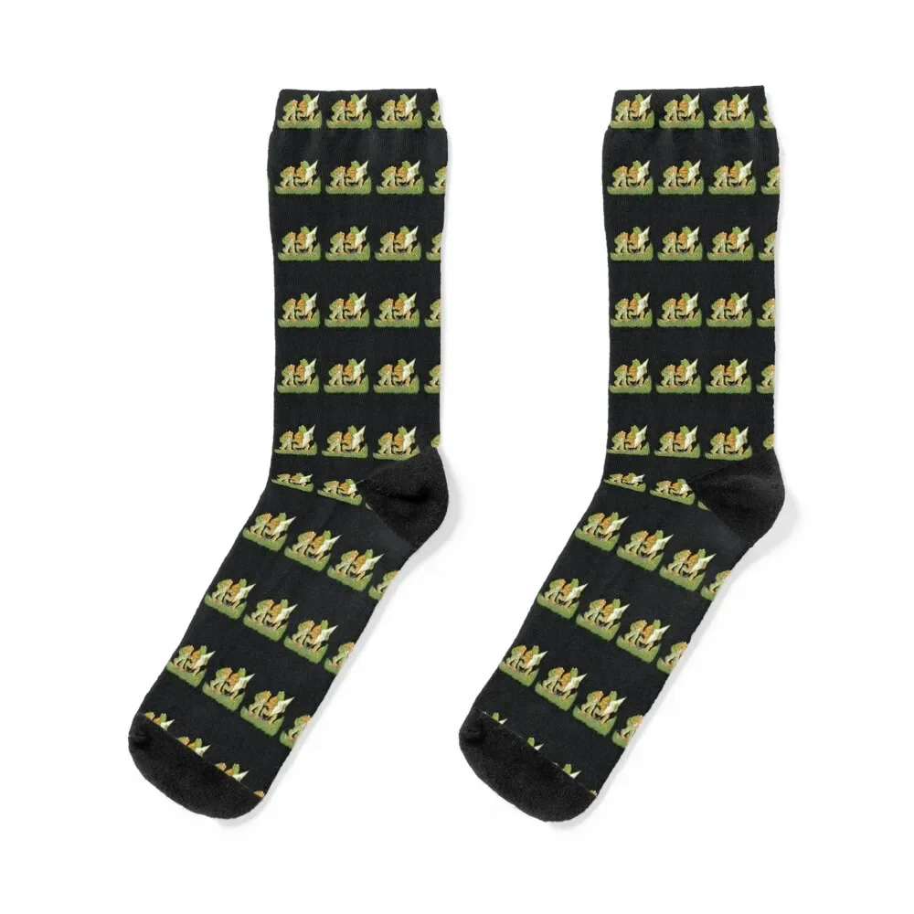 frog and toad are friends t shirt Socks floor ankle Socks Girl Men's