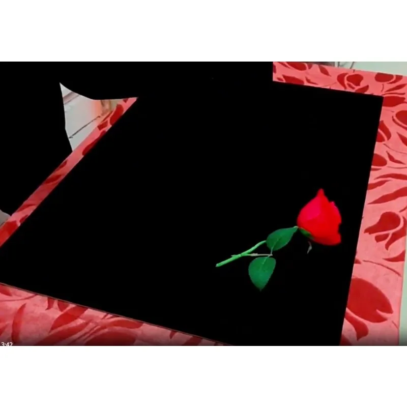 الورد والعملة الخدع السحرية بتلات للعملات المعدنية تظهر بساط للتحايل الساحر ماجيا عن قرب المرحلة للتحايل أوهام Mentalism الدعائم