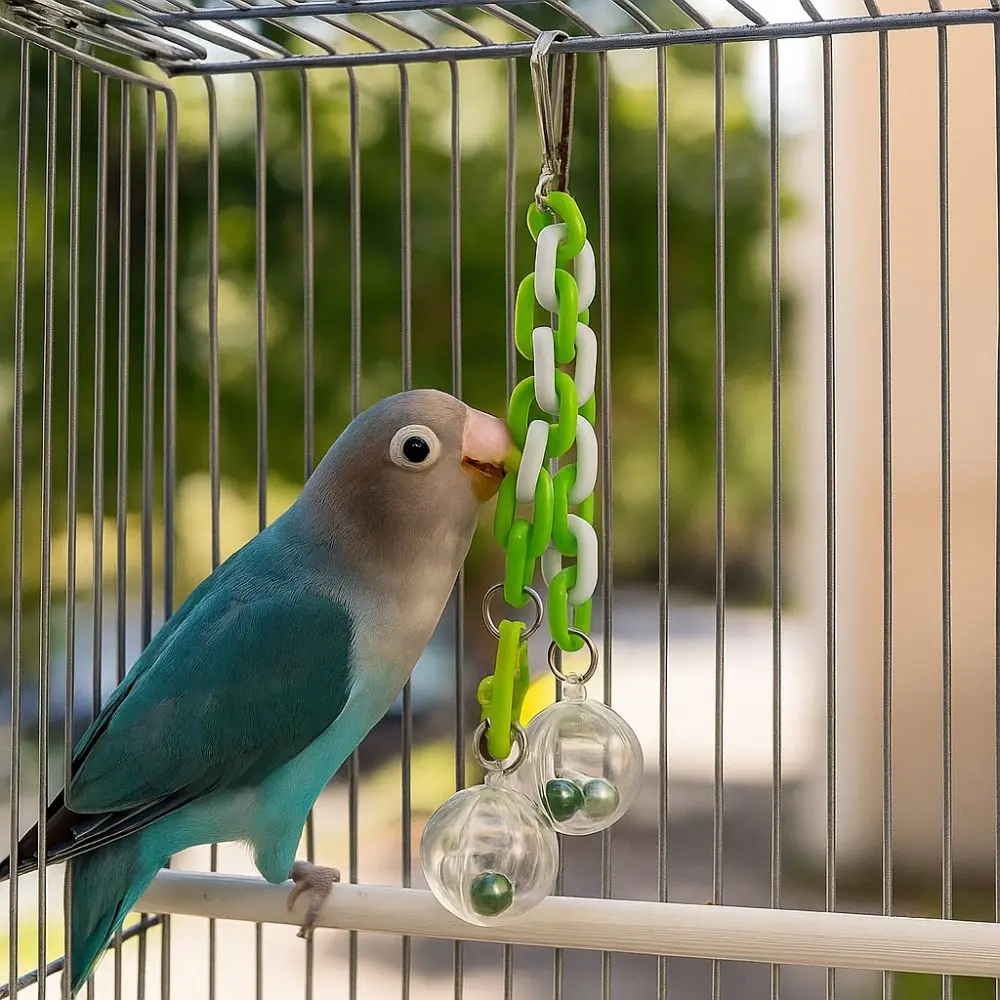 

Bite Resistant Parrot Hanging Ball Toy Transparent Ball Colorful Bird Chewing Toy with Bells Birdcage Pendant Interactive